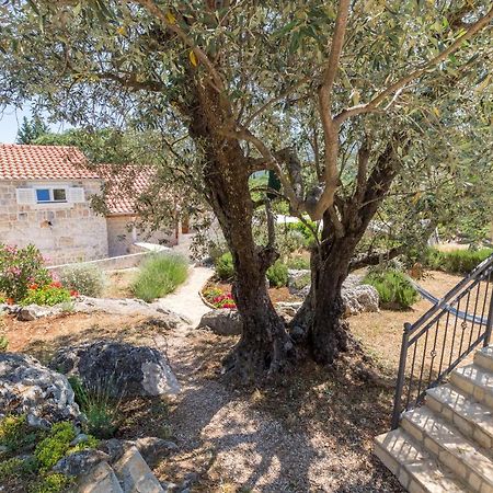 Olive Garden Apartment Ston Εξωτερικό φωτογραφία