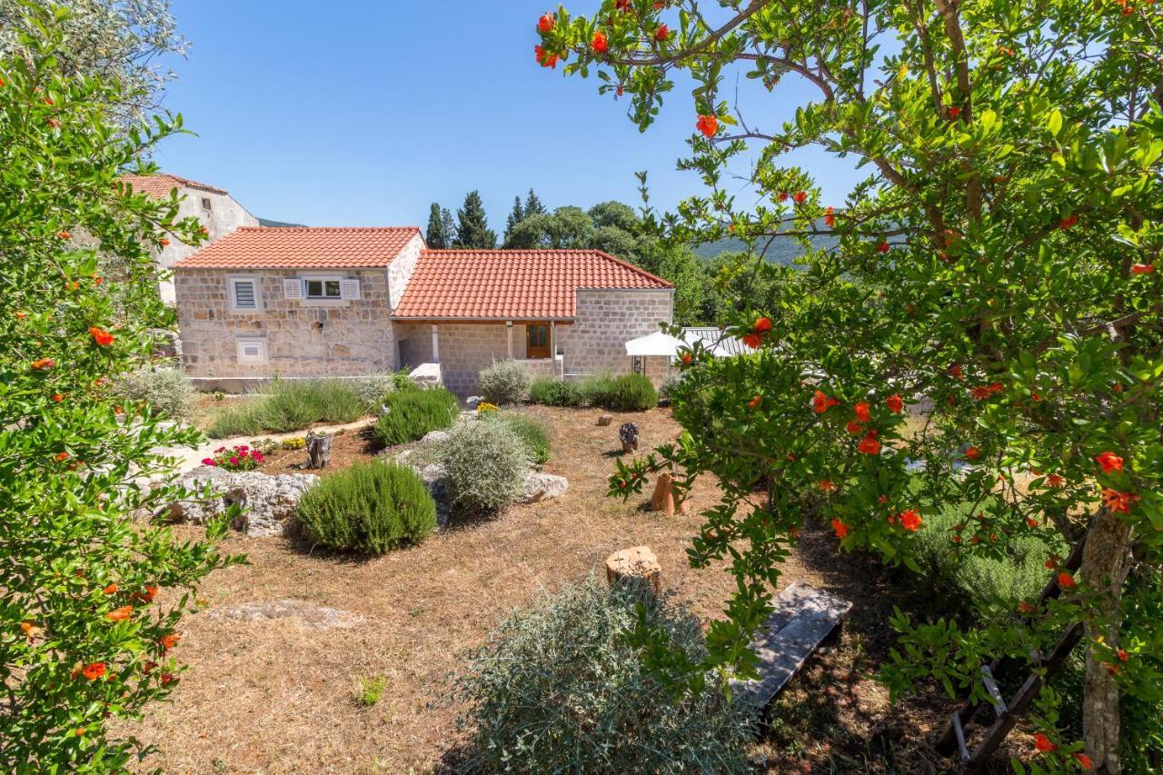 Olive Garden Apartment Ston Εξωτερικό φωτογραφία